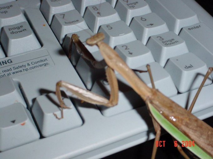 Nobody gets me https://t.co/pPpwNoRQkz