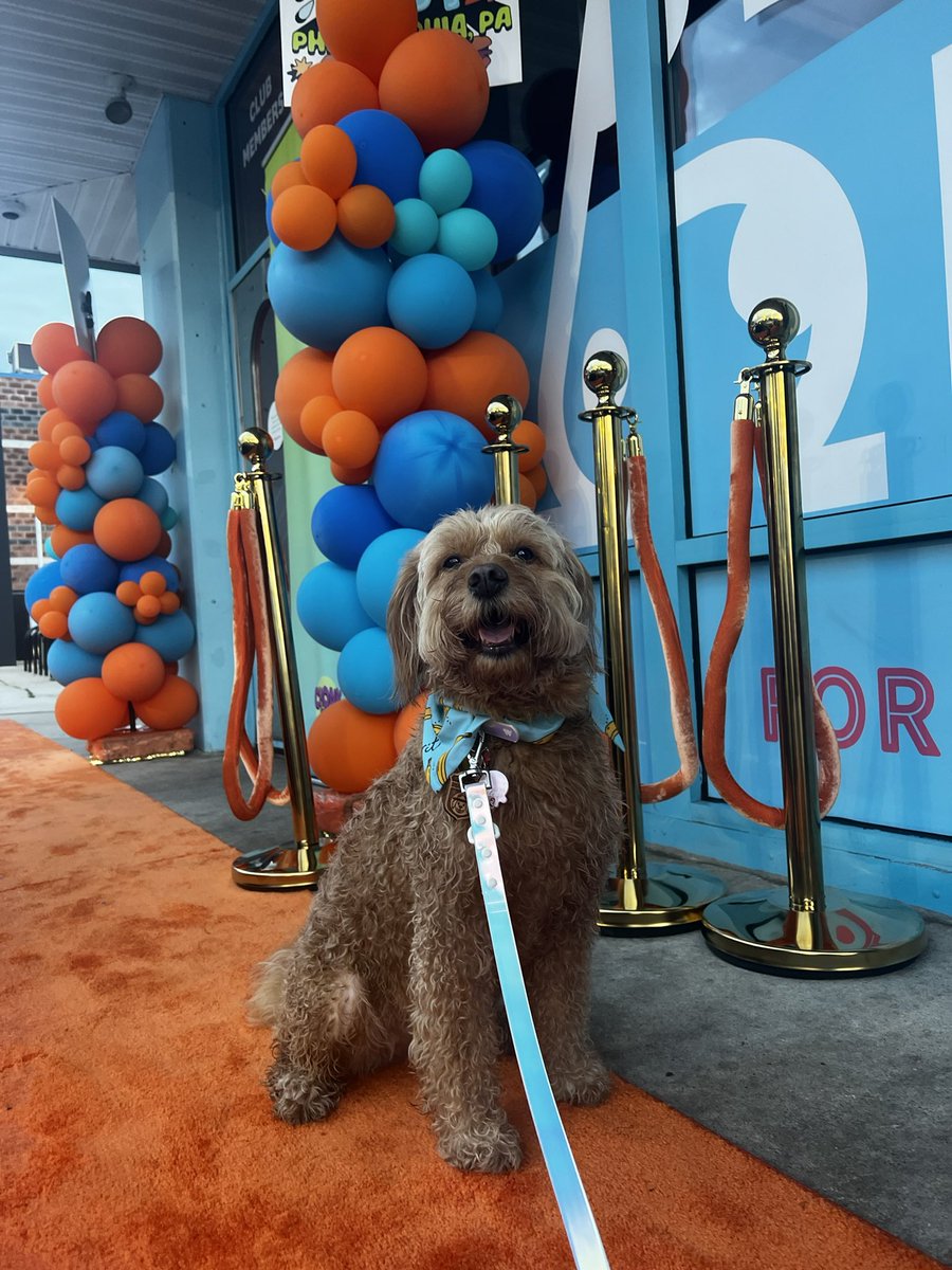 meritthemini tweet media