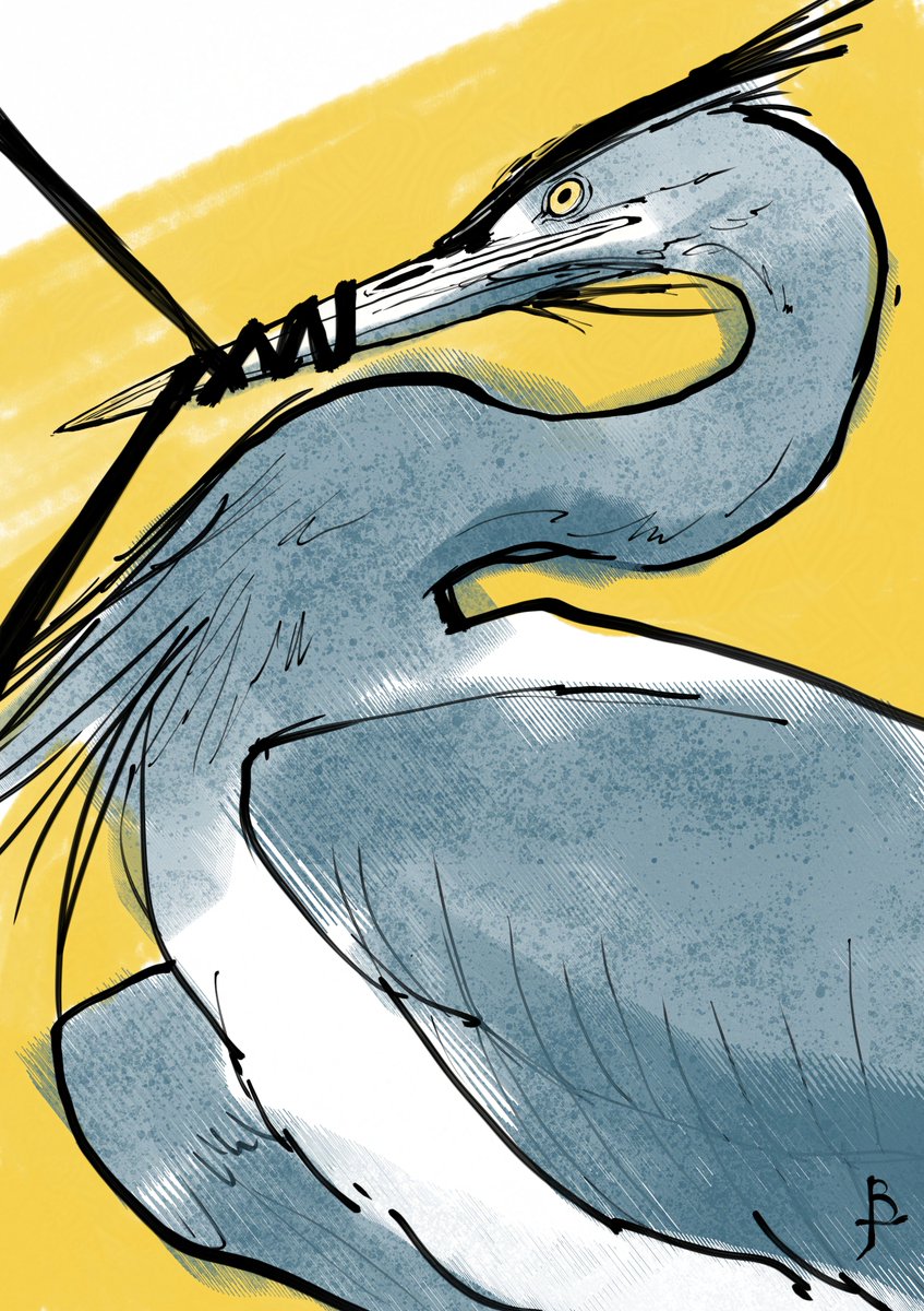 Bound...

Sometimes you long to free yourself; you long to fly... #heron