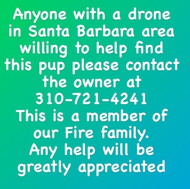 Anne Webster tweet media