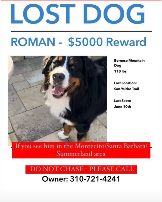 Anne Webster tweet media