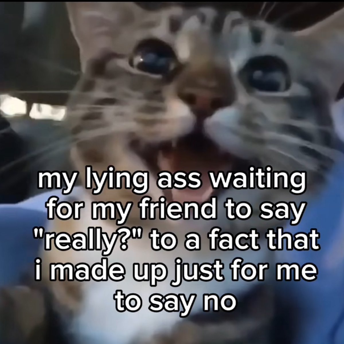 Wild TikToks (@wildtiktokss) on Twitter photo 