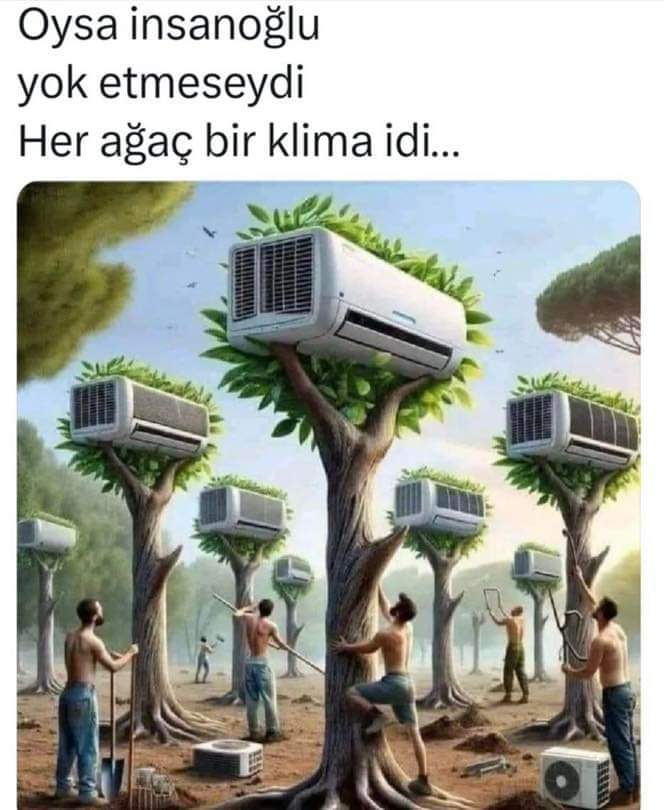 Anka Kuşu (@ankakusu0000) on Twitter photo 