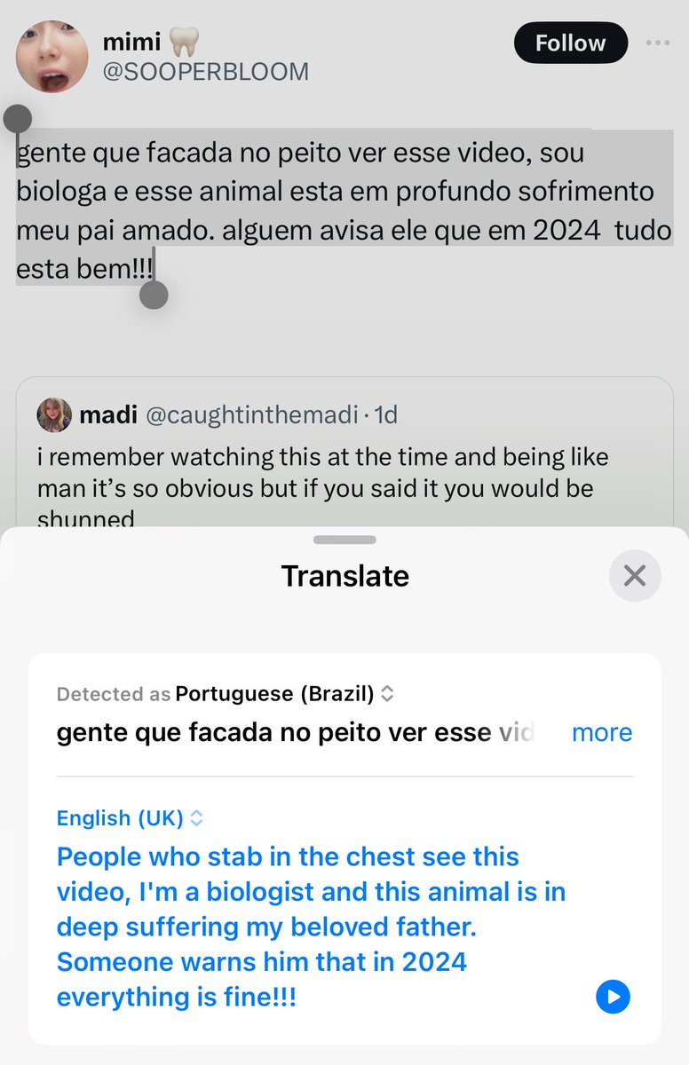 madi 𖦹 tweet media