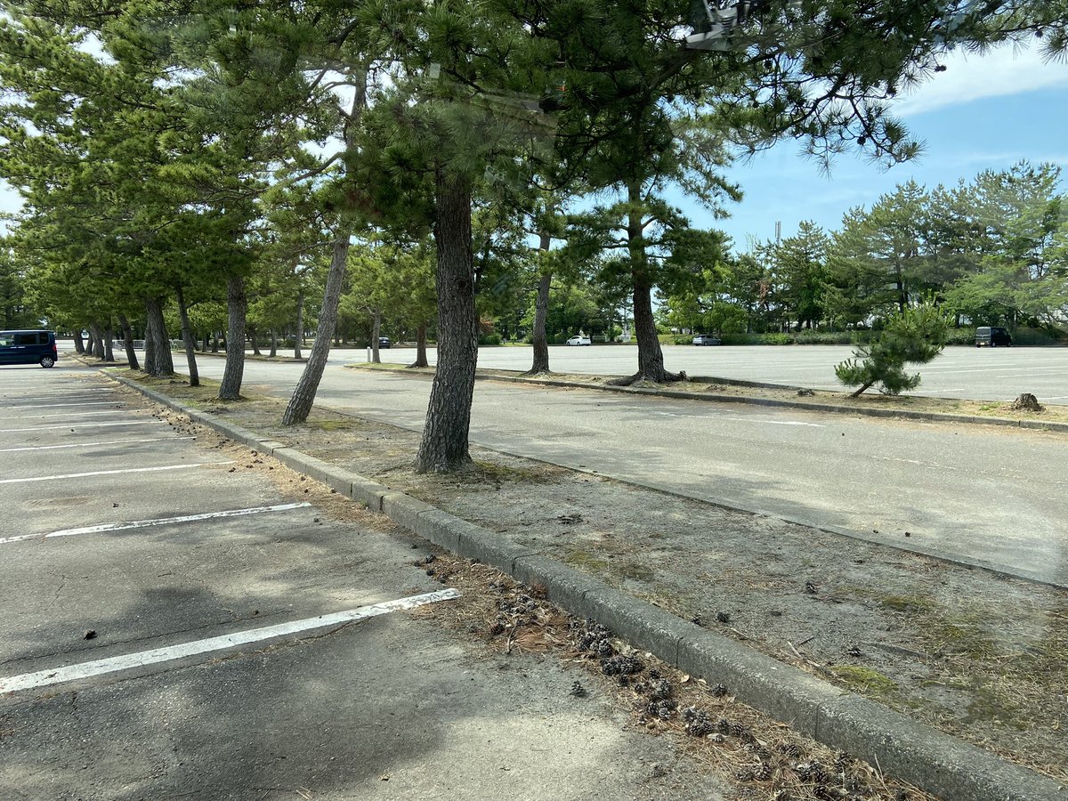 Rei_rei190's tweet photo. @kilman_wimper ナビで産業展示館調べて入ったら普通に停めれましたよー！
めっちゃ空いてます！
会場までどれくらいかわかんないですけど💦 https://t.co/6qGjnys5Ou