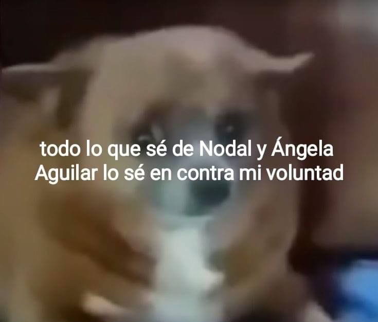 Siamericus's tweet photo. Hoy ya es cultura general saber de este tema 🤪😭😂 https://t.co/FFrnj6ITXK