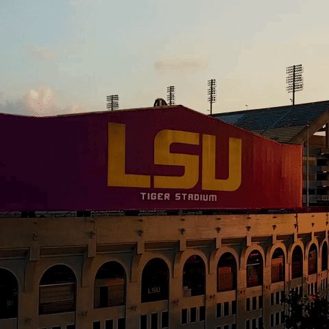 2️⃣0️⃣2️⃣6️⃣📞🐯