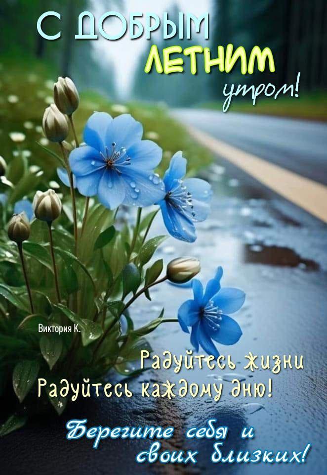 Алексей (@aasolomatin) on Twitter photo 