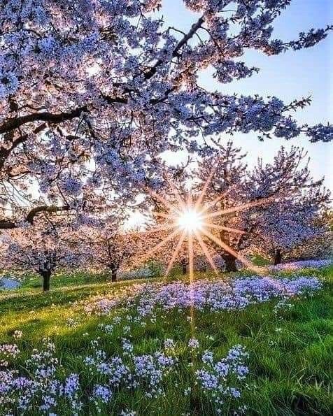 Good Morning ☀️