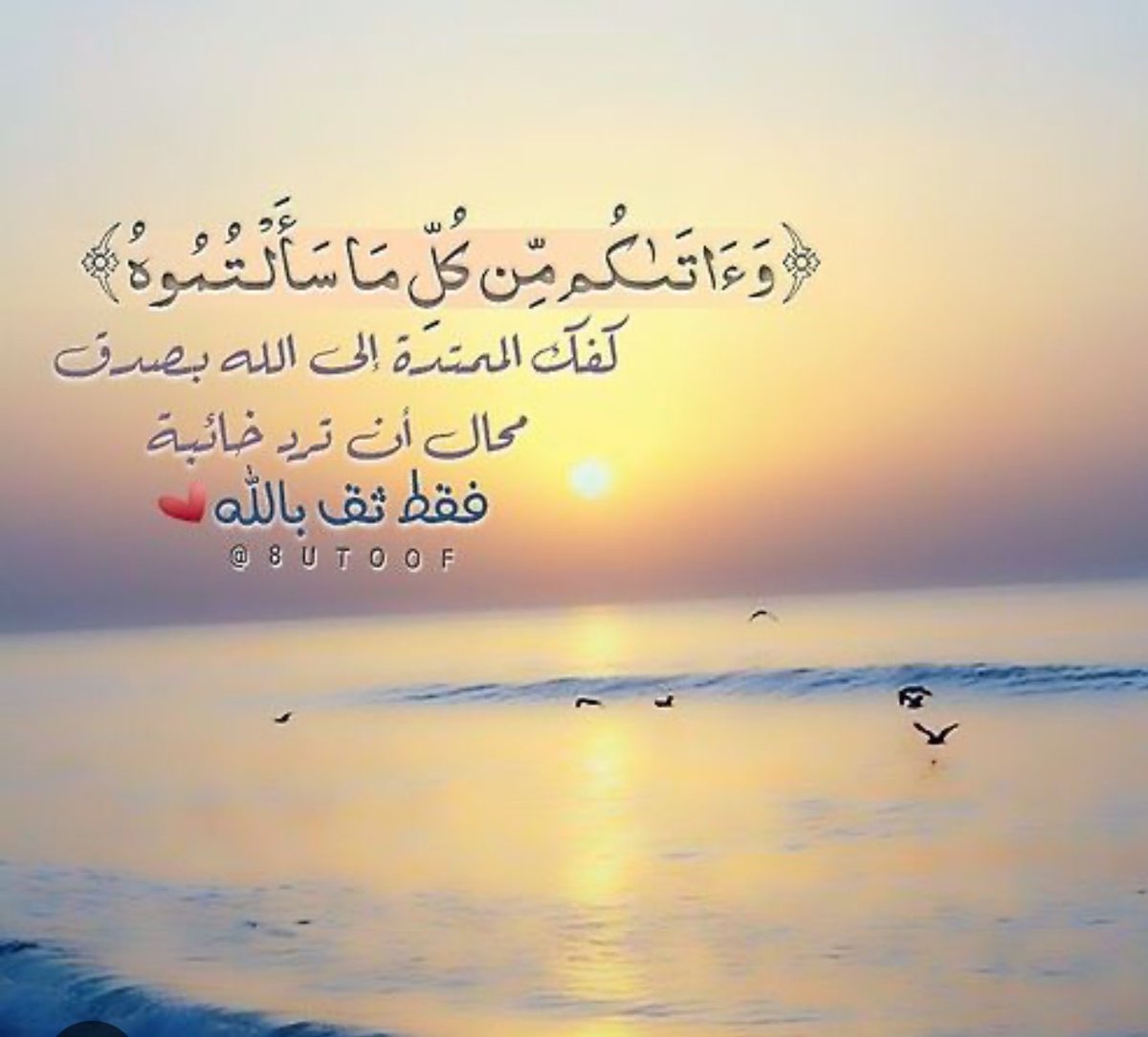 HadeelMSM's tweet image. 