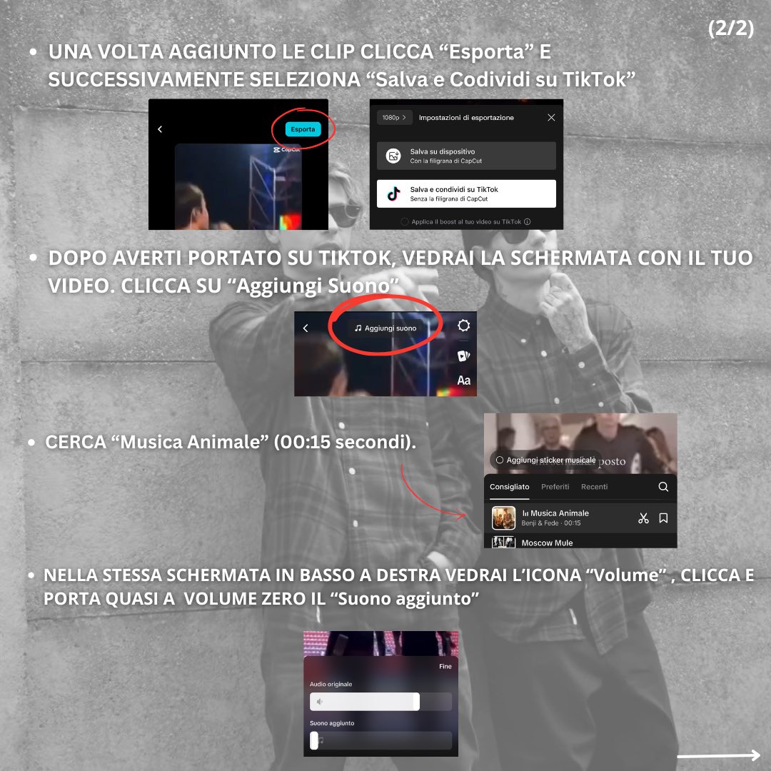 FRossi_Updates's tweet photo. Divertiamoci un po' condividendo su TikTok con @BenjieFede e @fedefederossi ciò che "Musica
Animale" ci sta trasmettendo!
Aspettiamo i vostri video! 🎸🦍

"Mi sento nel posto giusto al momento giusto" ☀️
https://t.co/7NUUCOpwsp https://t.co/5bhaMoglgH
