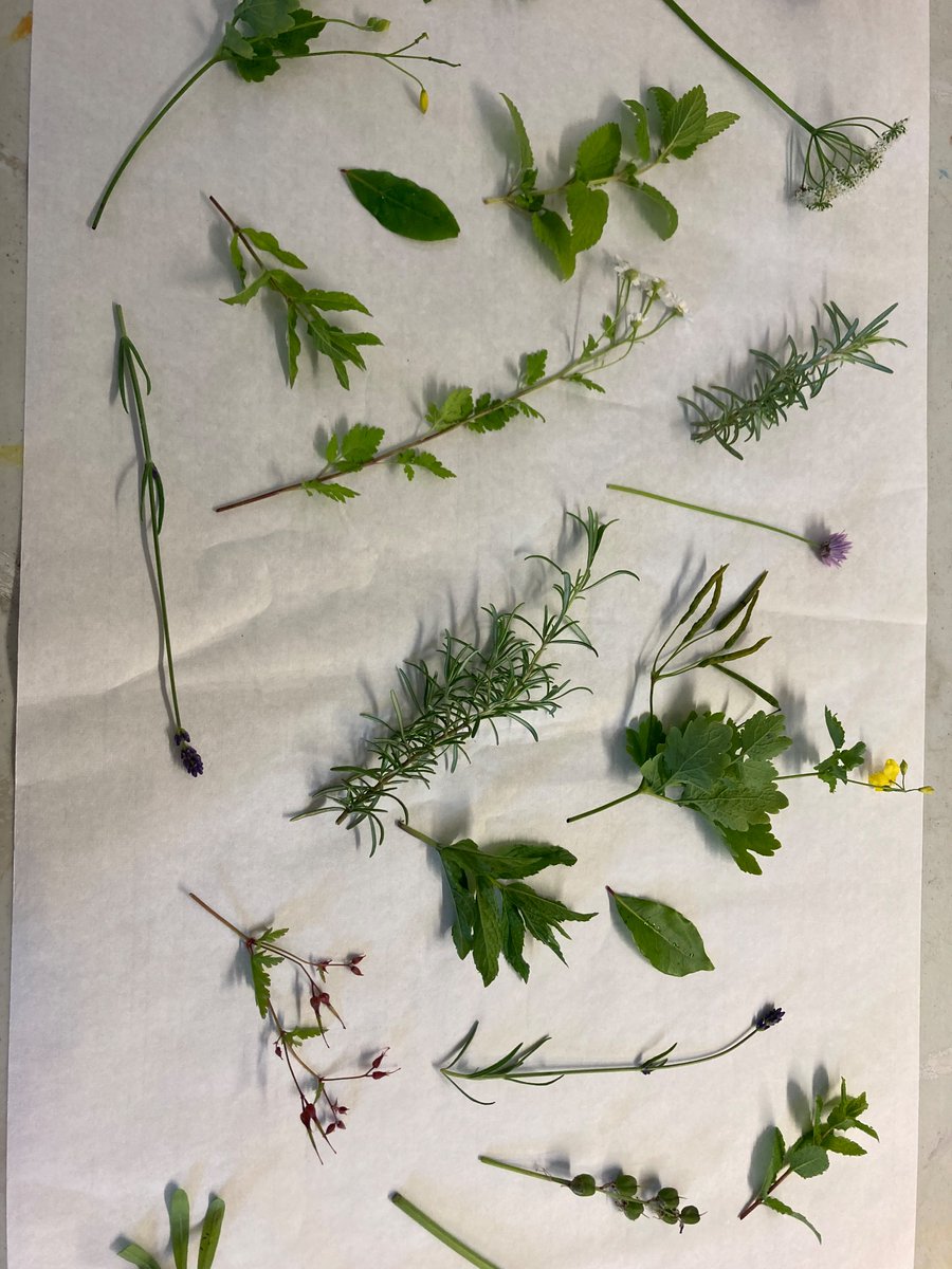 Dr Helen Foster (@dr_hlfoster) on Twitter photo Reimagining all things botanical from the garden at this morning’s Writing Shop <a href="/LakesideArts/">Lakeside Arts</a> - inspired by the 175th anniversary of John Boot opening his herbalist shop in Nottingham <a href="/OTglobalcounter/">Over the Global Counter</a> <a href="/BootsUKNews/">Boots UK News</a> <a href="/HealthHumanEBR/">UoN Health Humanities Early Bird Researcher Group</a> <a href="/UoNHumanities/">School of Humanities | University of Nottingham</a> <a href="/WritingEM/">Writing East Midlands</a> Reimagining all things botanical from the garden at this morning’s Writing Shop <a href="/LakesideArts/">Lakeside Arts</a> - inspired by the 175th anniversary of John Boot opening his herbalist shop in Nottingham <a href="/OTglobalcounter/">Over the Global Counter</a> <a href="/BootsUKNews/">Boots UK News</a> <a href="/HealthHumanEBR/">UoN Health Humanities Early Bird Researcher Group</a> <a href="/UoNHumanities/">School of Humanities | University of Nottingham</a> <a href="/WritingEM/">Writing East Midlands</a>