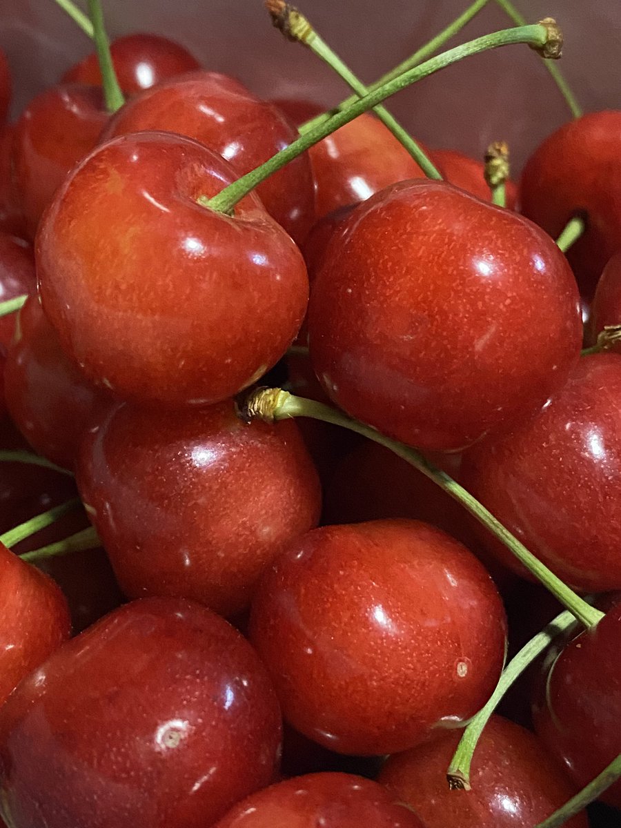 今年しもやってきました♪

消友からのさくらんぼ🍒

めっちゃあま〜ぃ！