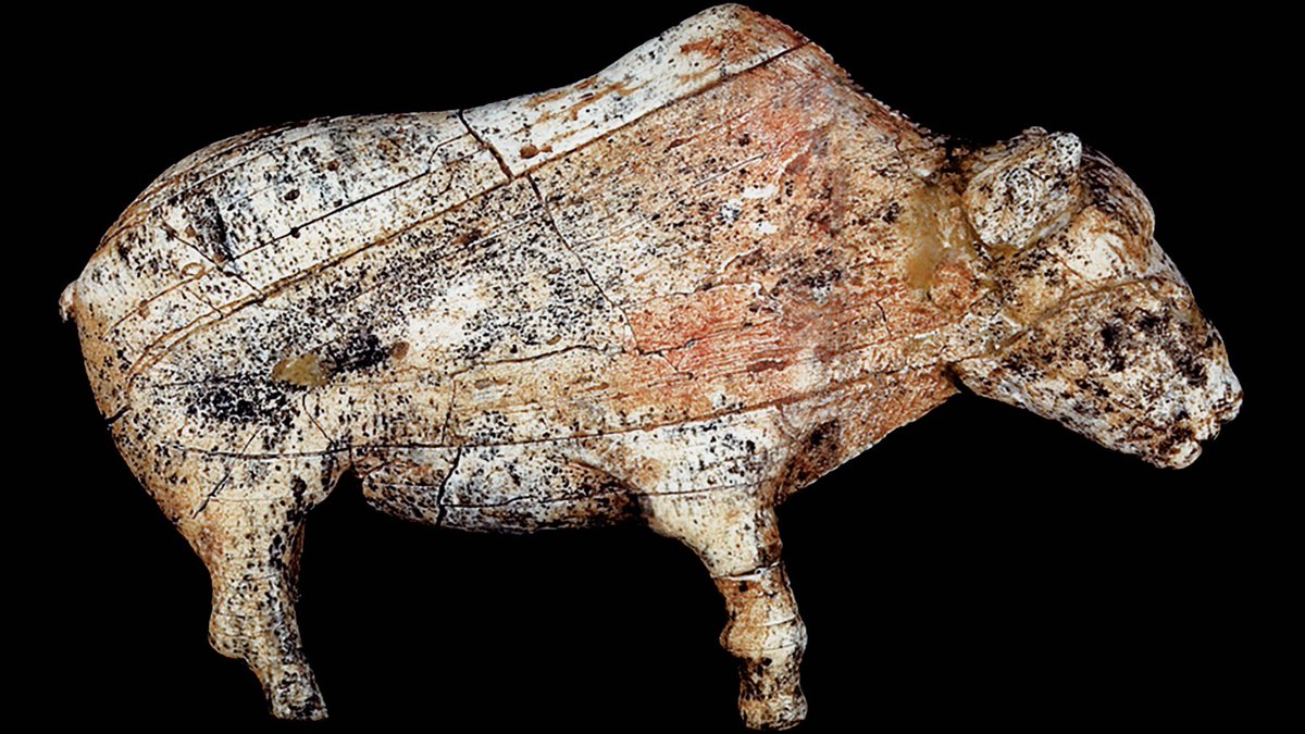 antiquesOR's tweet photo. splendid #bison #figurine, sculpted in #mammoth #tusk • dated 22.000 years ago • discovered in 2001 in the #Gravettian site of #Zaraysk, #Russia 

#Зара́йск #Upper #Paleolitic #art #ivory #sculpture #statue https://t.co/hQTHJDEvFK