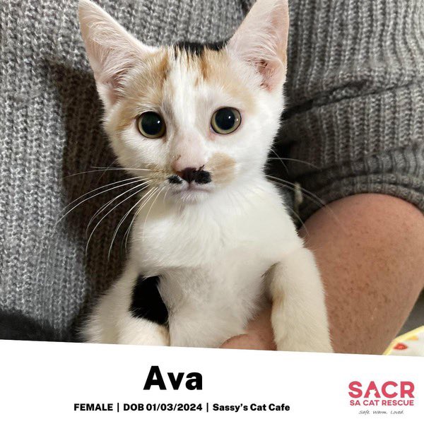 They missed a trick not calling her Eva.