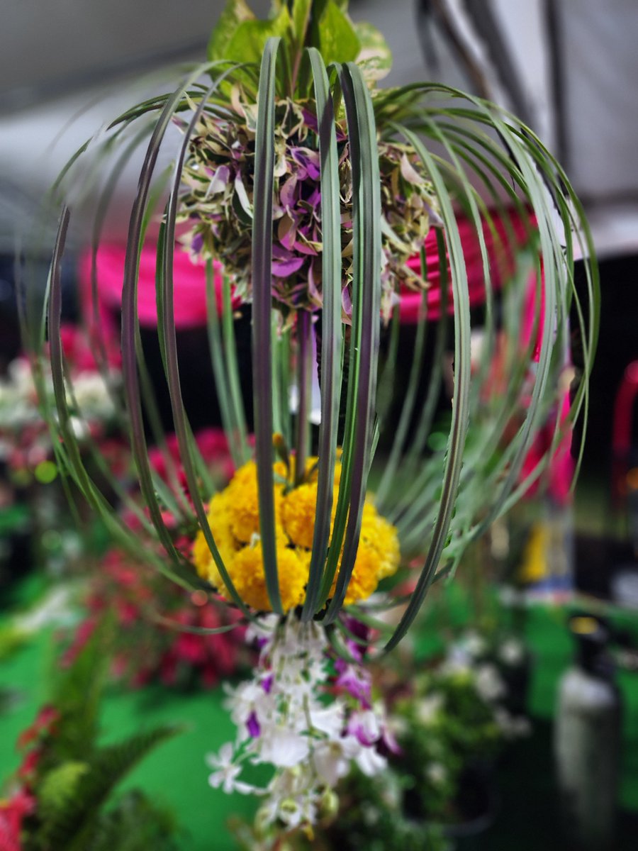 Avaneesh Raman tweet media