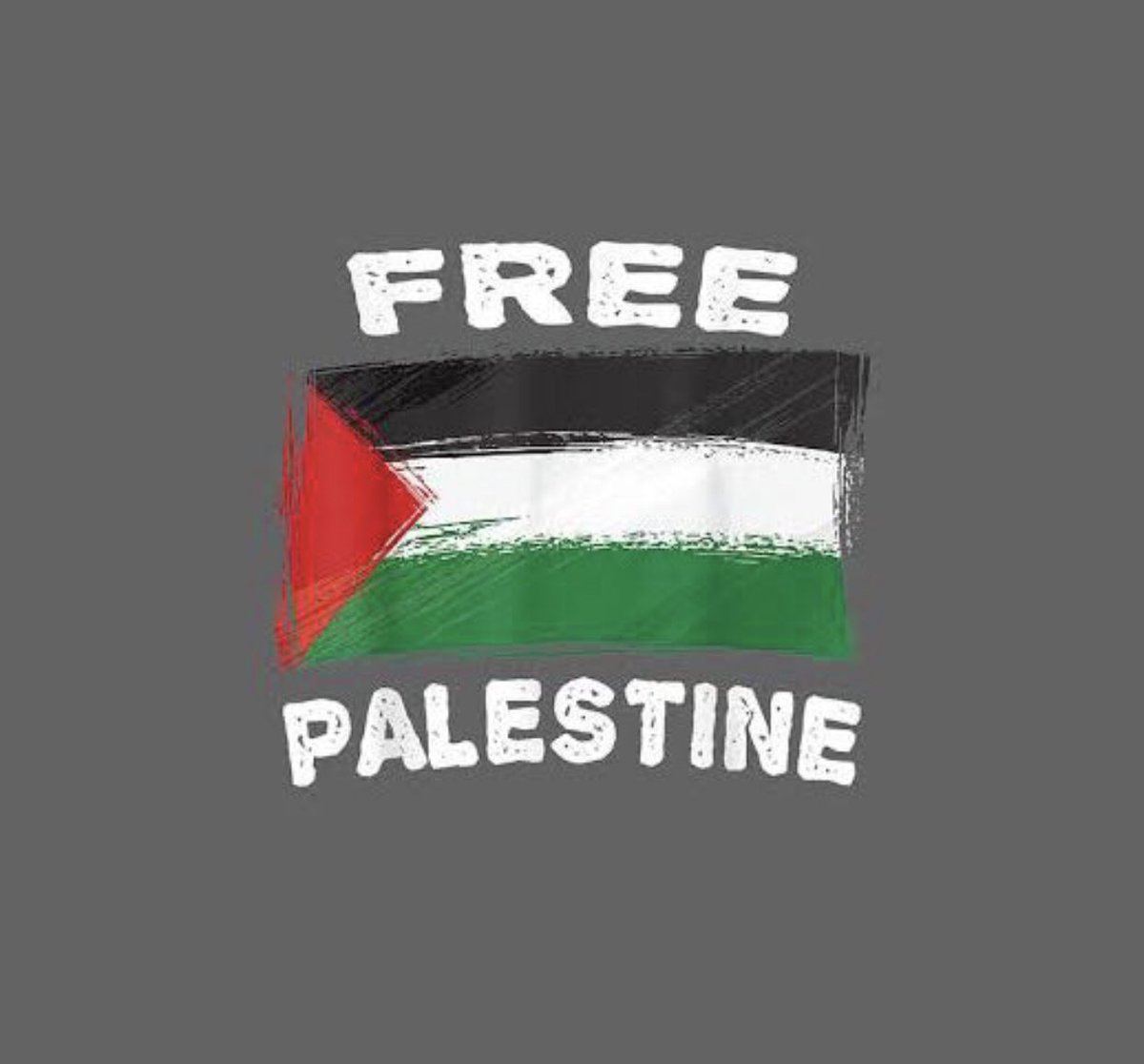 Inshallah Palestine will free soon 🇵🇸 ❤️