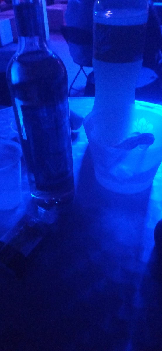 Disfrutando la noche en <a href="/PenthouseClubSw/">El Penthouse</a>  😉