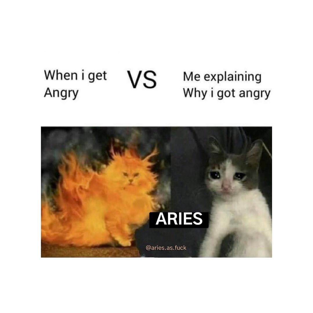 ariesalwayss's tweet photo. #Aries Life https://t.co/YigiHAq5Jw