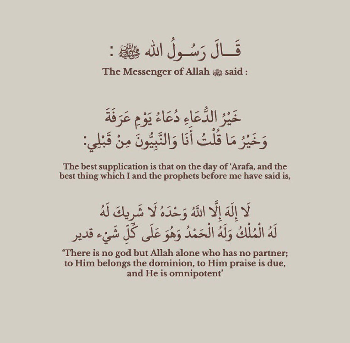 H E M A ¹⁴ tweet media