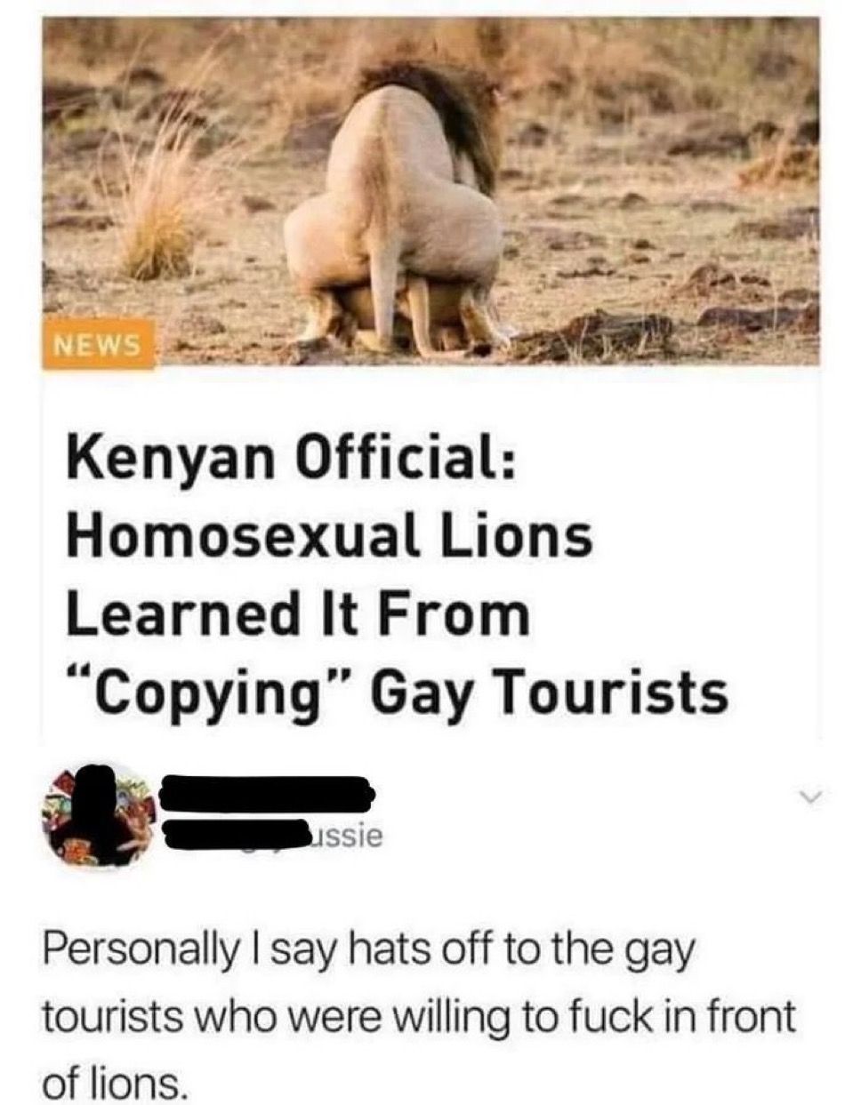 Kenyan Official: Homosexual Lions Learned It From "Copying" Gay Tourists