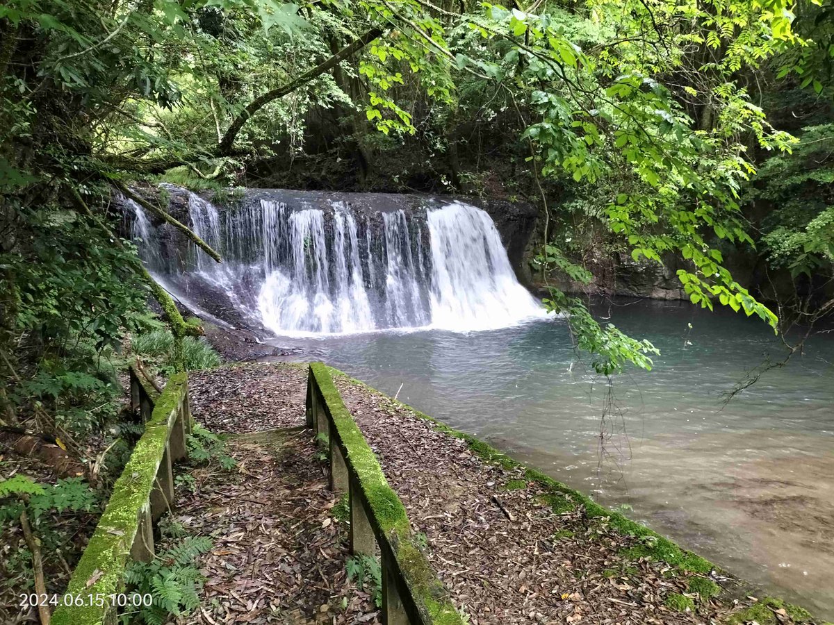 RETURN_HORNET's tweet image. #ホーネット250
天気予報が雨から曇りに
変わったので、急遽ソロツー
滝巡り&amp;amp;SPA直入へ