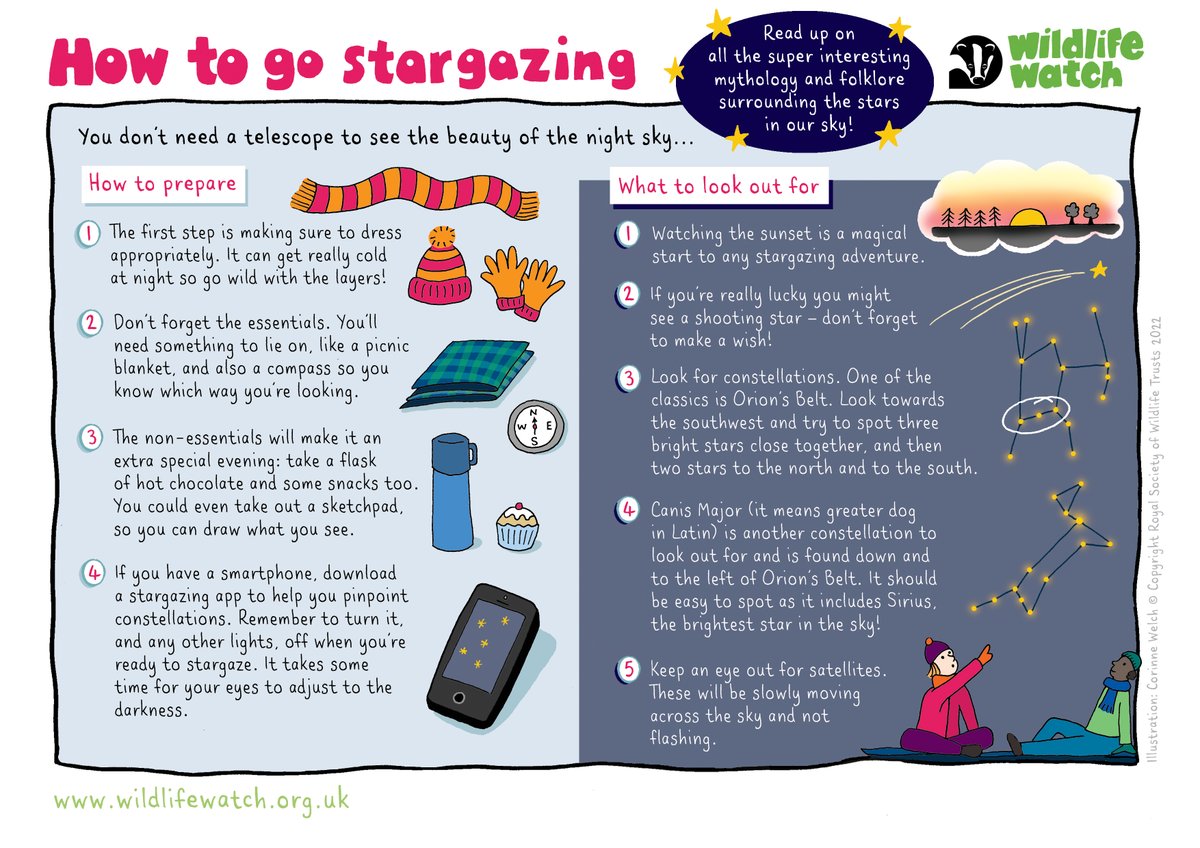 #30DaysWild from The Wildlife Trusts tweet media