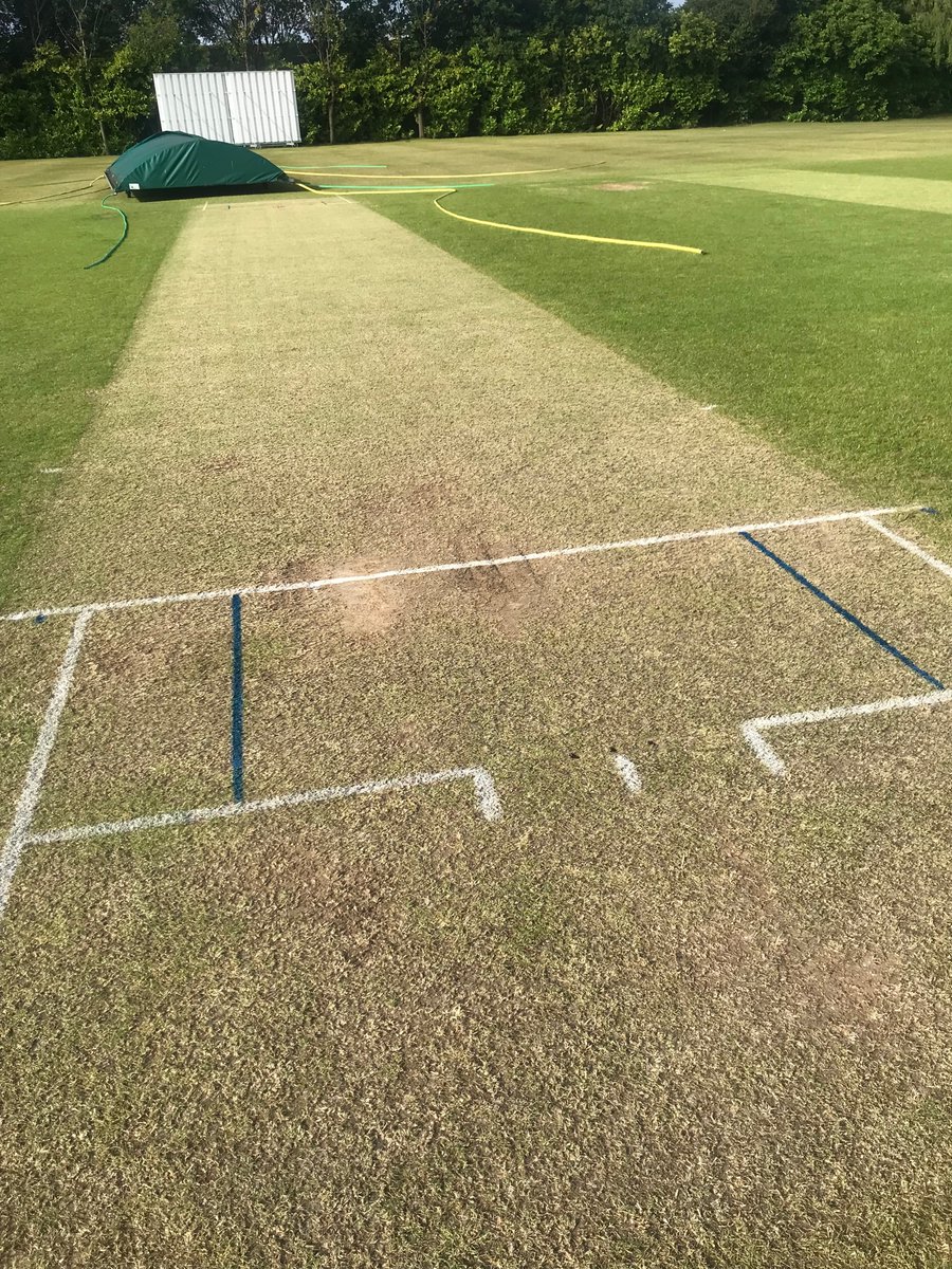 DOSDAOS's tweet image. Early start this morning. Been a challenge to keep this one dry between showers all week. 
550 runs on it last Saturday.
Let’s see??