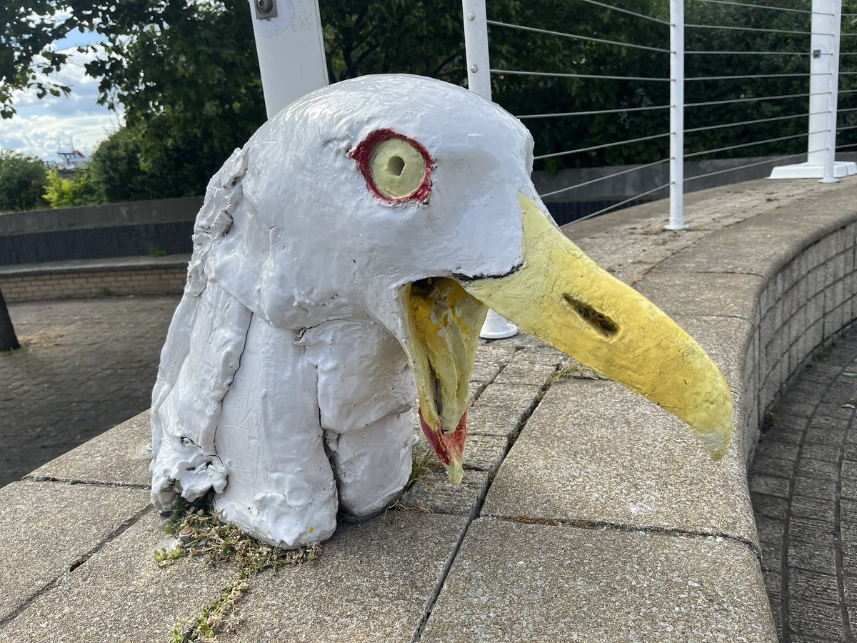 partbirdpartman's tweet photo. Amble was rough
#coquetisland 
#amble
#bridledtern
#birdheads 
#puffin 
#puffincruises https://t.co/bTA5CdeyKI