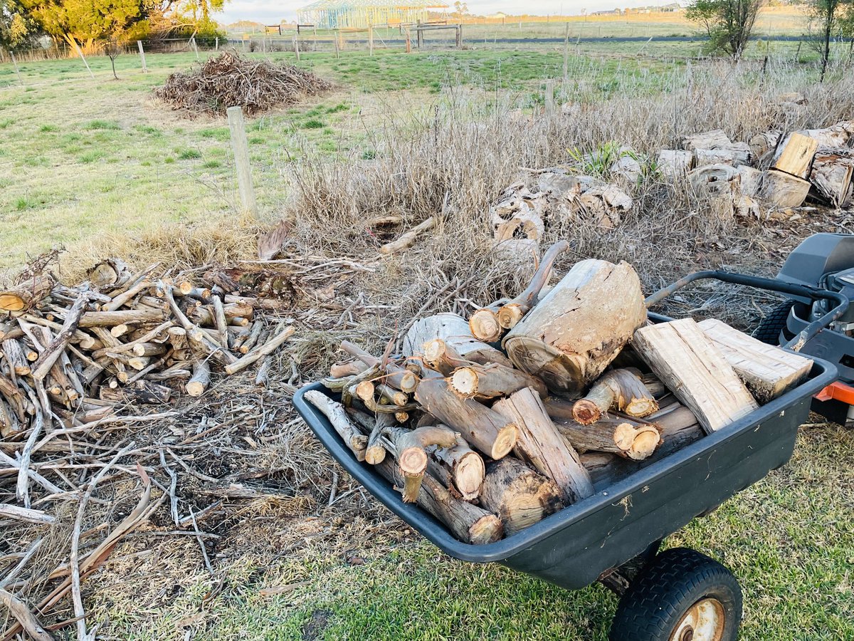 rn_lilydale's tweet image. I had #NoIdea how much hard work using a Chainsaw is 🤣😂🤣😂🤣😂 #DecentWorkOut #FarmLyfe 💪💋