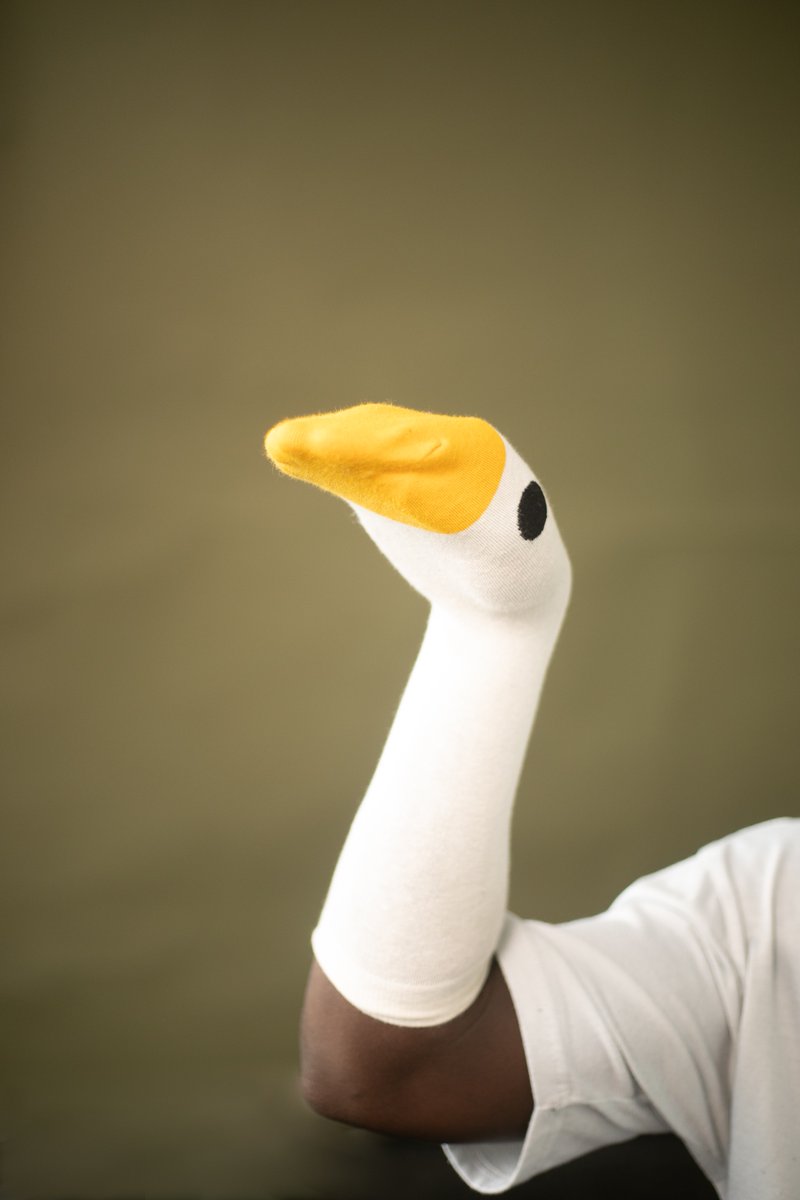 nvdjei's tweet image. today is the day😈🦆