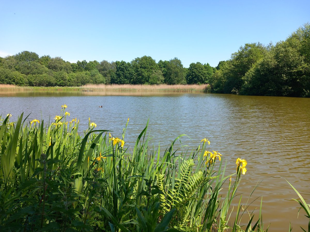 Looking forward to a walk around Lindow Common today, though I doubt it’ll be this sunny! Fed up of the weather now!