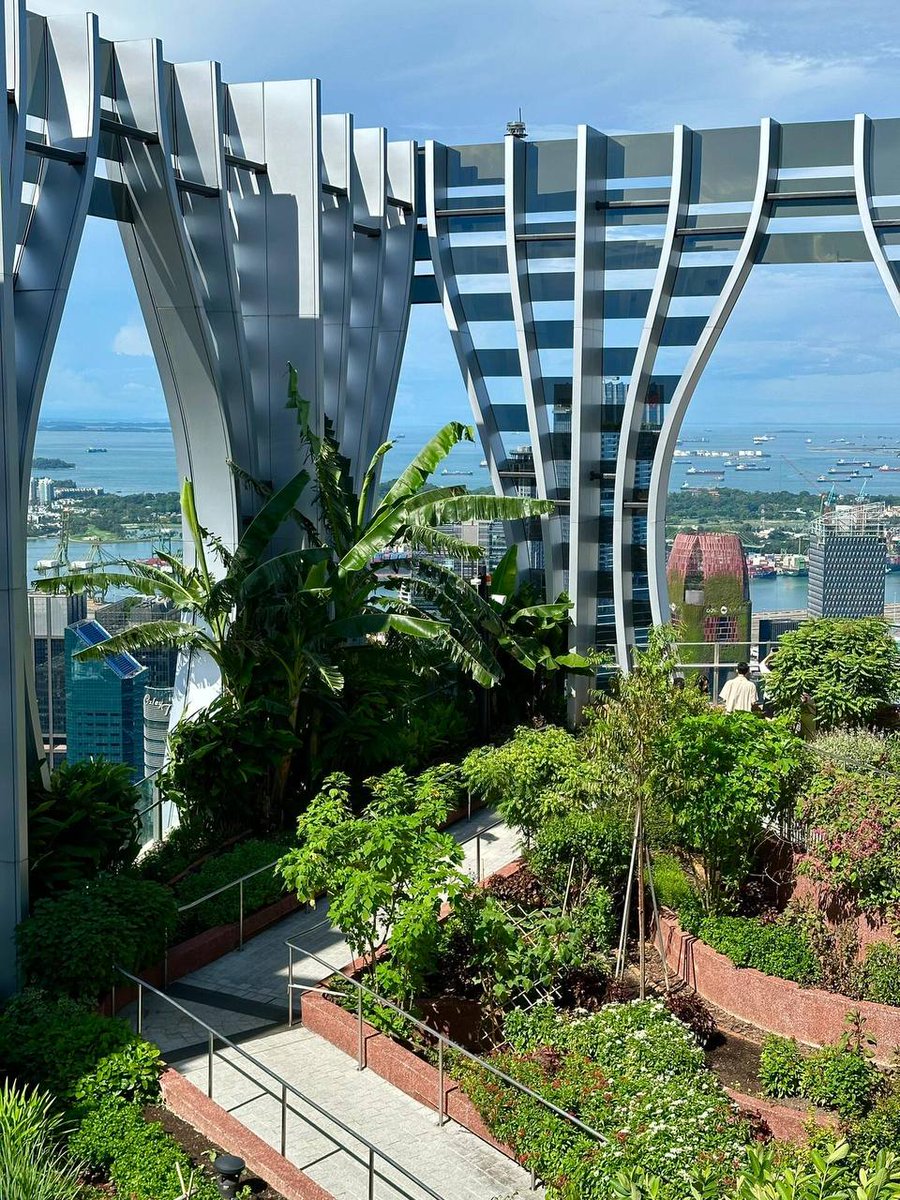 StarlitWanderer (@8c8568xfoty2ms) on Twitter photo 