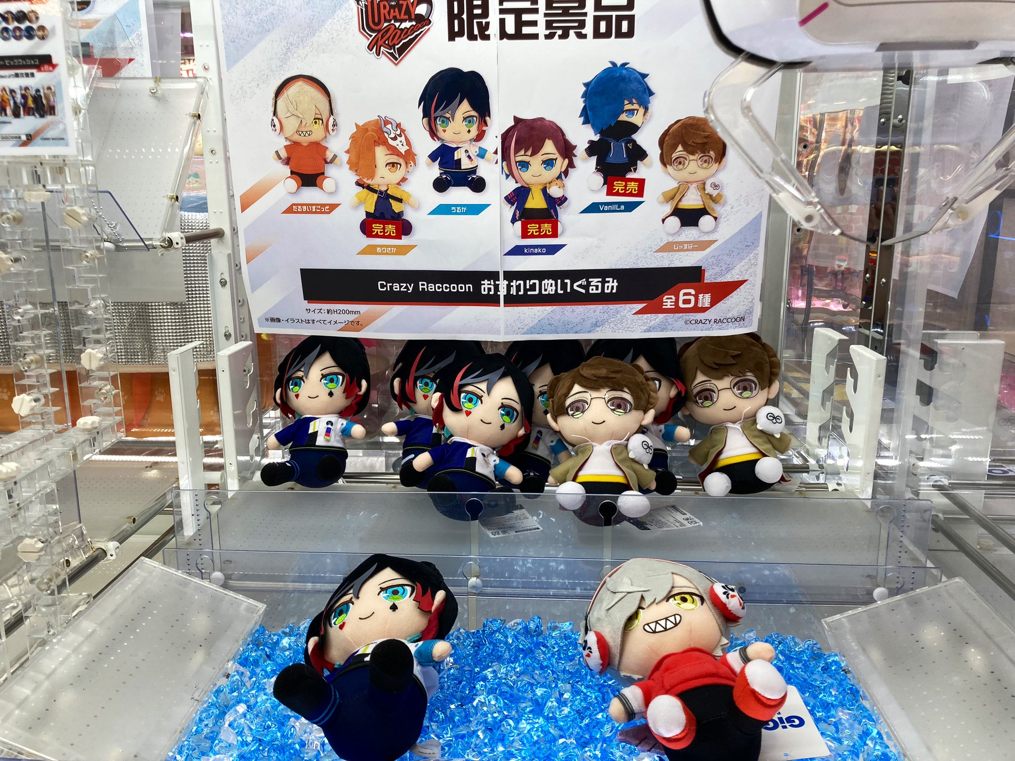 クレイジーラクーン ビッグクッション gigo限定 うるか CrazyRaccoon