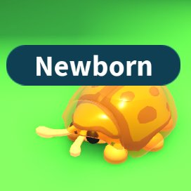 Burt News tweet media