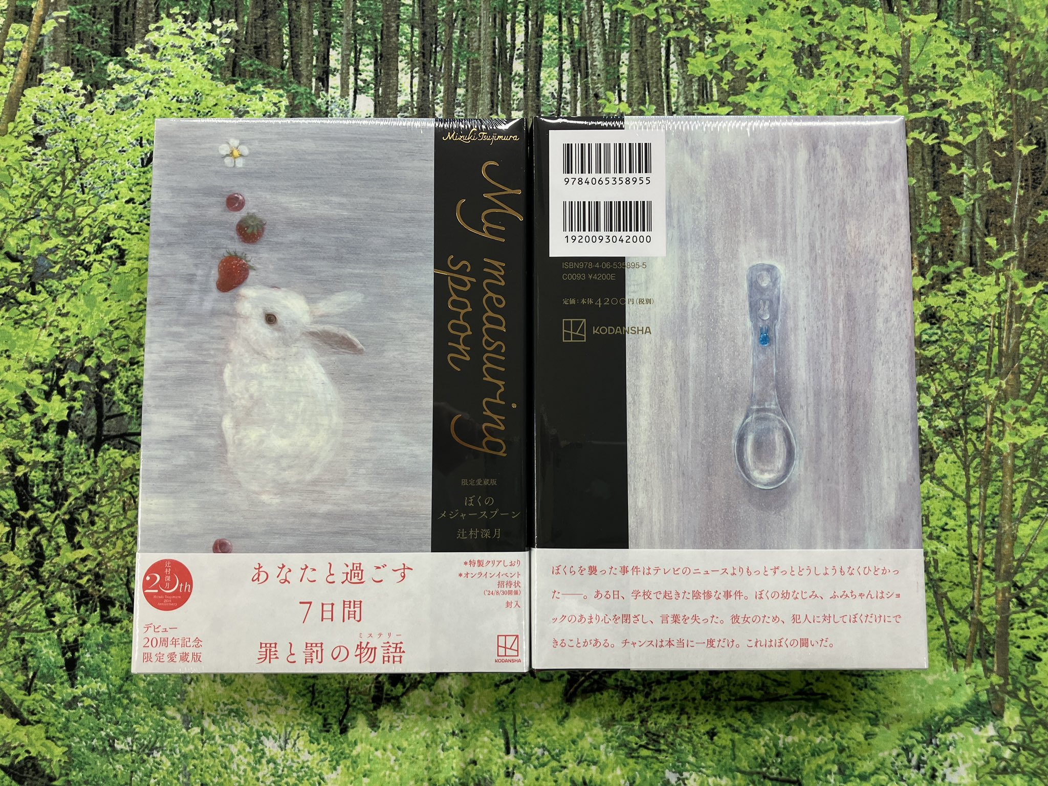 ぼくのメジャースプーン　愛蔵版　辻村深月　サイン本 71xuh4GxsuL._UF350,350_QL50_.jpg