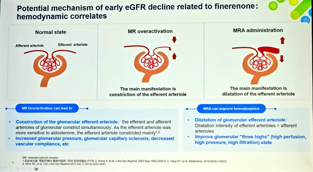 Arunkr_Dr's tweet photo. eGFR changes with RASi, SGLT2i and MRAs #APCN2024

🌟 Can continue therapy upto 30% decrease in eGFR

🌟 Finerenone targets the 'three highs' - perfusion, pressure and filtration👇👇
#nephpearls https://t.co/mawS6lGO6b