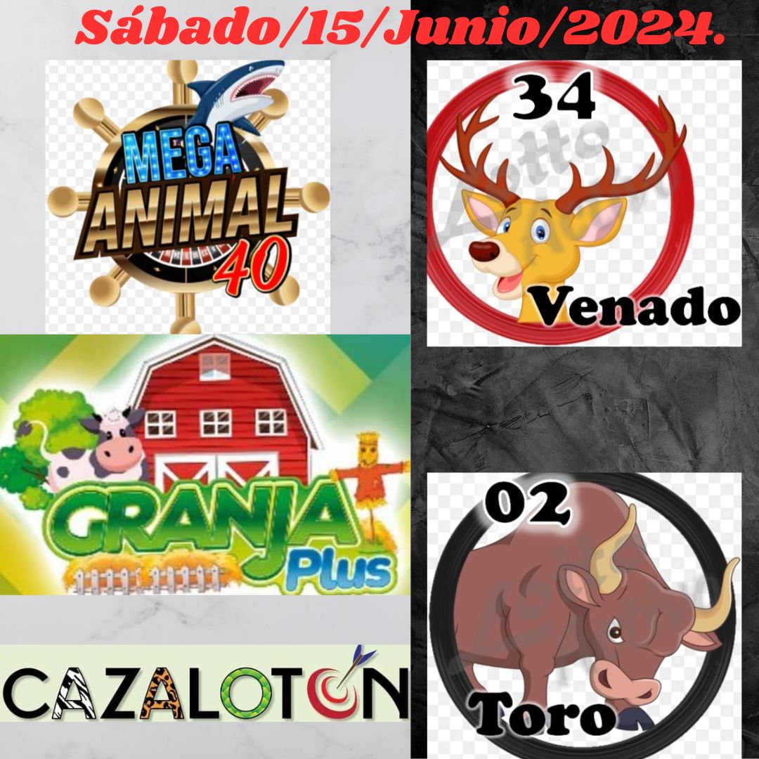 ElGordoDeOro3's tweet photo. Sábado/15/Junio/2024.
🎁#RegalosAbiertos 
🦈#MegaAnimalitos 👨‍🌾#GranjaPlus 🏹#Cazalotón

 #RegalosAbiertos #ElGordoDeOro3 #Instagran #elgordodeoro3_official #Twitter #TikTok #Subscription #ElReydelosPronosticos #Tendencias #viralpost  #Ganadineroconmigo https://t.co/f3LOlZDDB5