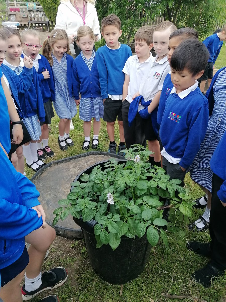 Llanishen Fach tweet media