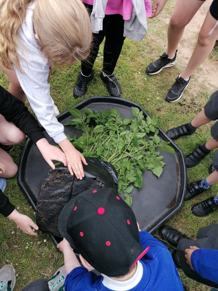 Llanishen Fach tweet media