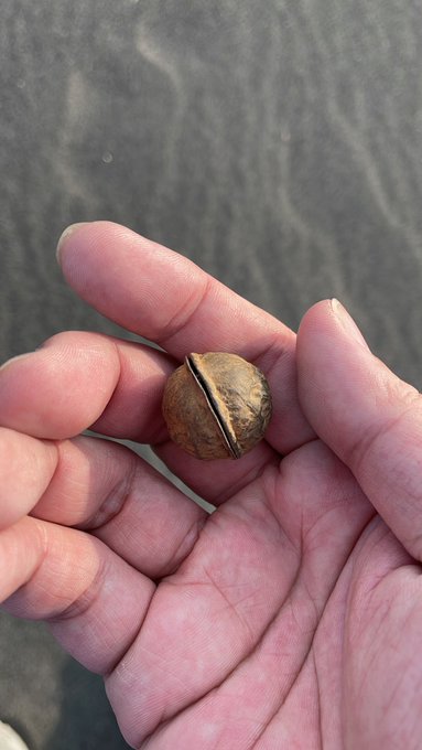 入ってるかな⁽ '˂˃ˋ⁾ 