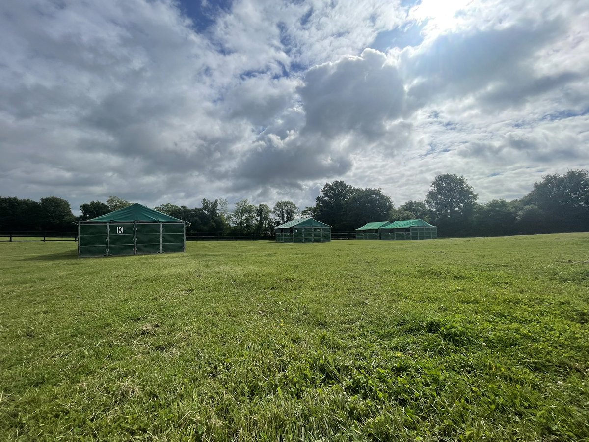 CERCY TOUR tweet media