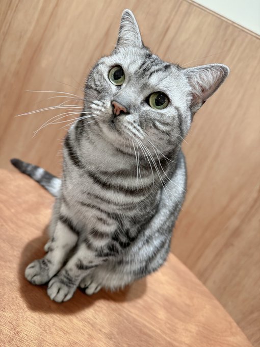 Watch 𓆟uri 𓆟's leaked NSFW photo on TwXstars