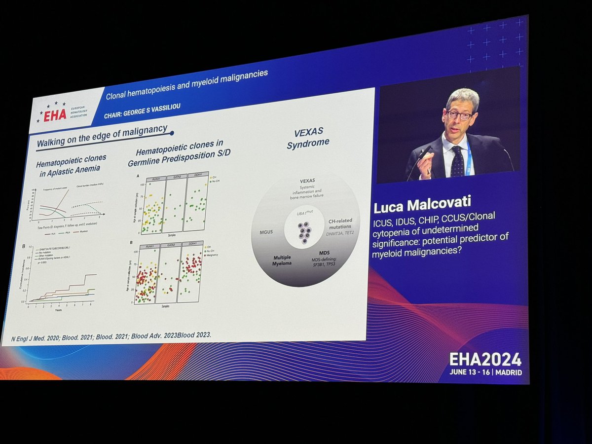 Emma M. Groarke (@emmamgroarke) on Twitter photo Luca Malcovati highlights the importance and differences in clonal landscape in different hematologic disorders such as #SAA, #IBMFS, and #VEXAS at the CH and myeloid malignancies session <a href="/EHA_Hematology/">European Hematology Association</a>. #EHA2024 Luca Malcovati highlights the importance and differences in clonal landscape in different hematologic disorders such as #SAA, #IBMFS, and #VEXAS at the CH and myeloid malignancies session <a href="/EHA_Hematology/">European Hematology Association</a>. #EHA2024