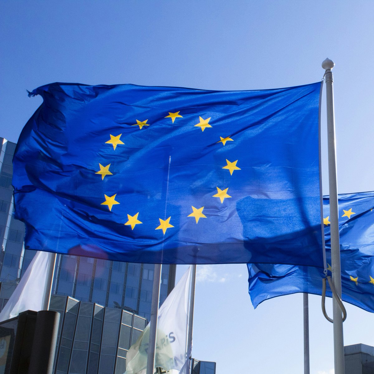 EMEC_advocacy's tweet photo. Congratulations to the 31 new and re-elected MEPs who signed the #MECFS pledge! We are very grateful for your support and wish you lots of success in the new parliamentary term. https://t.co/21FXEYXrMr