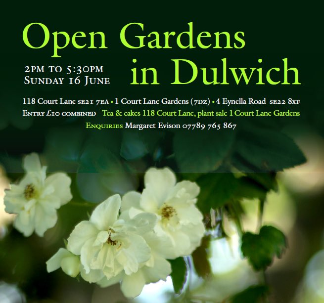 Three gardens in Dulwich are opening this Sunday 16th June, 2-5.30pm, for <a href="/MarkEvisonFnd/">Mark Evison Foundation</a> the Mark Evison Foundation. All within a few minutes walk, with roses, herbaceous borders and wildflower meadows at their best. Teas, plant sales. Combined entry £10, children free.