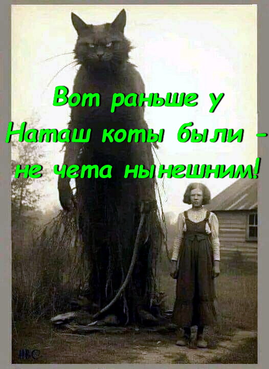 Валерий Юльевич (@uran201) on Twitter photo 