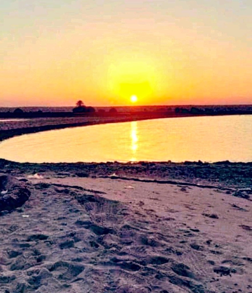 تتدافع الأمنيات
 وتزدحم الدعوات 
وتتعدد الحاجات 
ولا ندري بأيهما نبدأ  
وكلها أولويات
  وأنت يالله
 رب تحقيقها وترتيبها 
اللهم في هذا اليوم العظيم يوم عرفة  
 اهدِنا سُبل الرشاد
 في كل الأمور اللي تملأنا حيرة ...🍃🌸