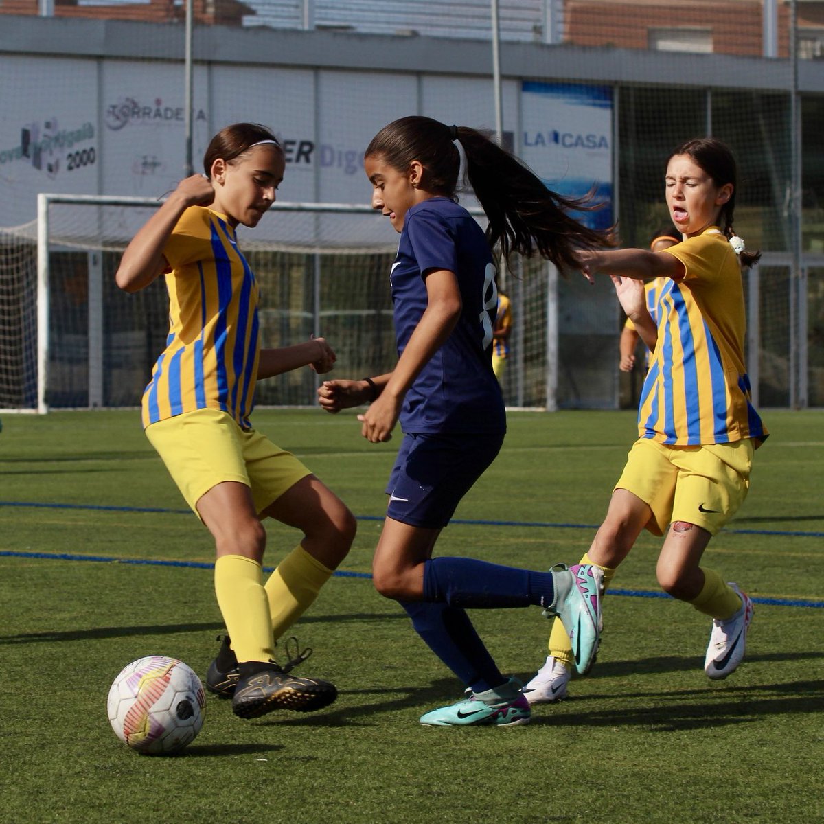 ceseagullbdn's tweet photo. 🏆 IV CIUTAT DE BADALONA
🌊 Ja tenim en marxa les categories Benjamí i Aleví!
📸 @JordiRomagosa
💙 #SEAGULL
#VolemAlt https://t.co/EQ4scGd90g