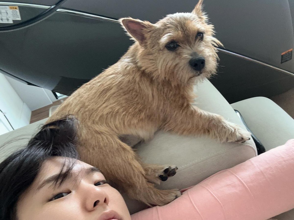 hoshzone's tweet photo. kwon.latte_norwich ig update with hoshi 🤎 https://t.co/hONG9iXALV